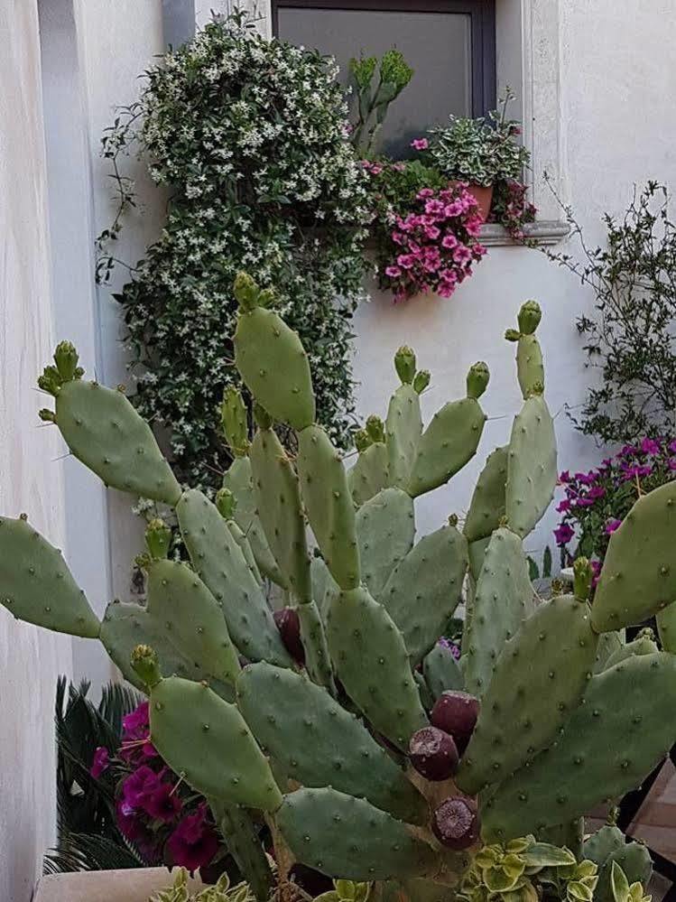 Palazzo Volta Boutique Luxury B&B Nardò Εξωτερικό φωτογραφία